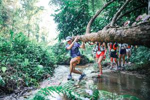 BIB: 
                            <button type="button" onclick="openModal(25443936)" class="btn btn-primary btn-sm float-right btn-popup" data-toggle="modal" data-target=".modal-high-quality">
                        <i class="fas fa-shopping-cart"></i> Add to Cart
                    </button>
                                            <button type="button" onclick="isThisMe(25443936, true)" class="btn btn-success btn-sm float-right btn-popup btn-isme hidden" data-toggle="tooltip" data-placement="bottom" title="นี่คือรูปของคุณใช่ไหม คลิกที่นี่เพื่อเอาเข้าอัลบั้ม">
                        <i class="fas fa-plus"></i> Add to album
                    </button>
                    <button type="button" onclick="isThisMe(25443936, false)" class="btn btn-warning btn-sm float-right btn-popup btn-isnotme hidden">
                        <i class="fas fa-ban"></i> Remove from album
                    </button>